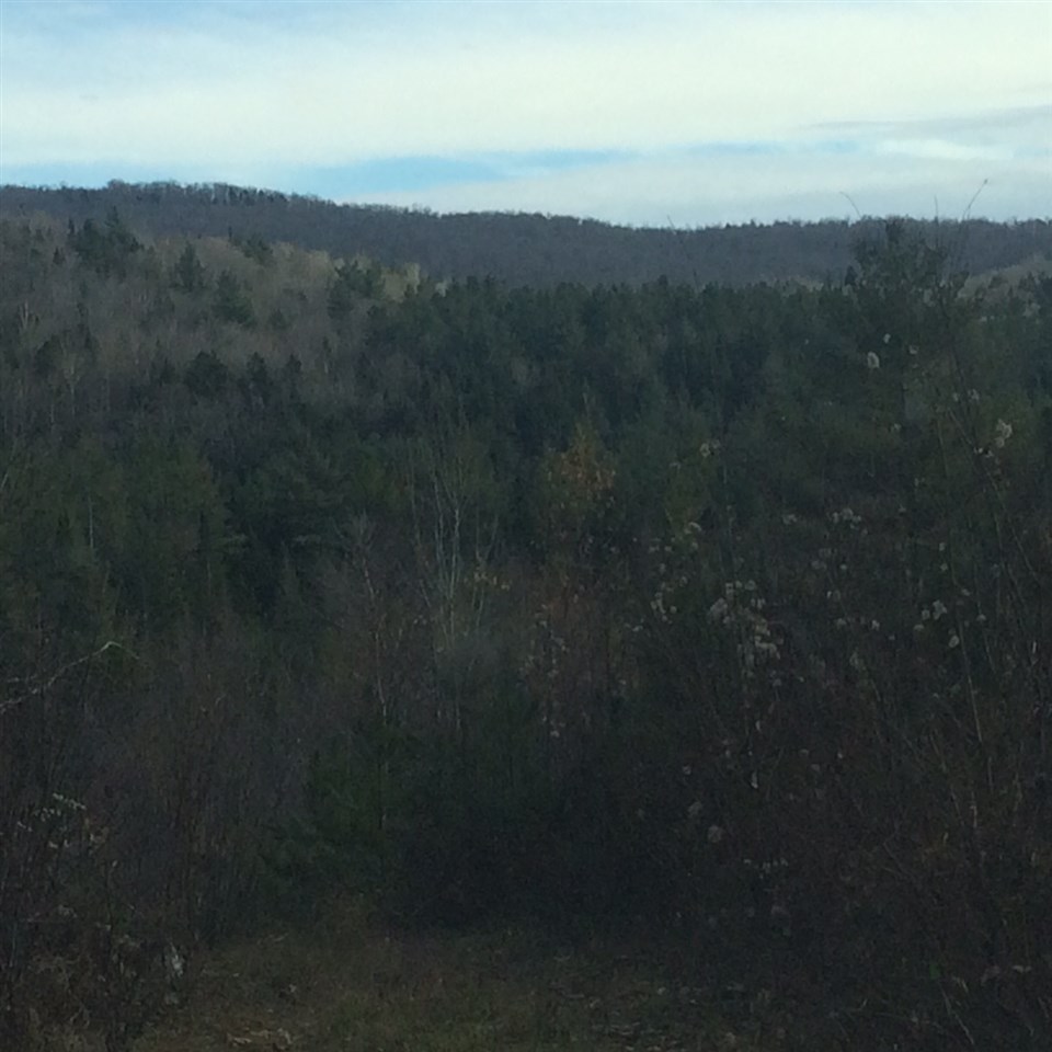 101 Blakeville Road, Unit 2 Eden, VT 05652 - Photo 2 of 2