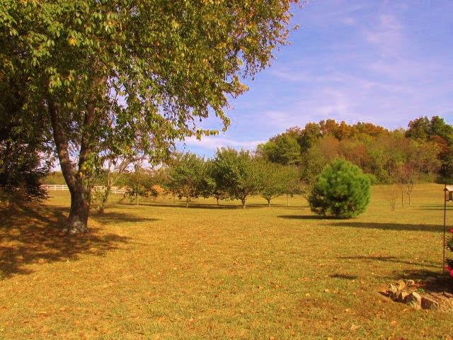 136 Barbara Spears Road Morrison, TN 37357 - Photo 22 of 26 A variety of Fruit trees adorn the property.