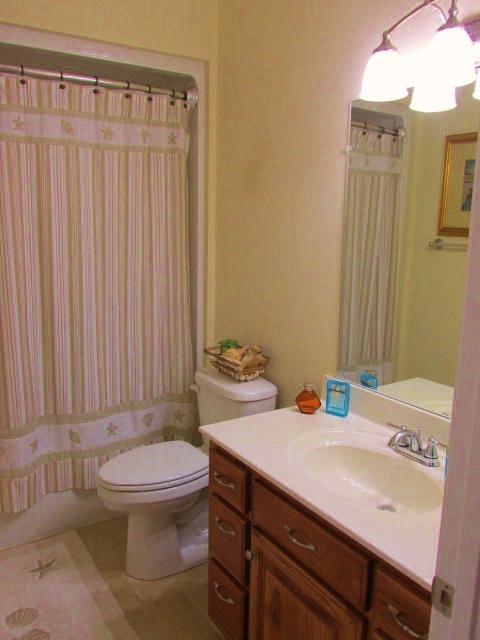 136 Barbara Spears Road Morrison, TN 37357 - Photo 9 of 26 The guest bath has shower/tub combo with ample lighting.