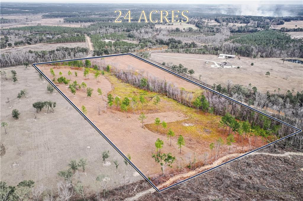0 Cedar Crossing Road Uvalda, GA 30473 - Photo 2 of 9