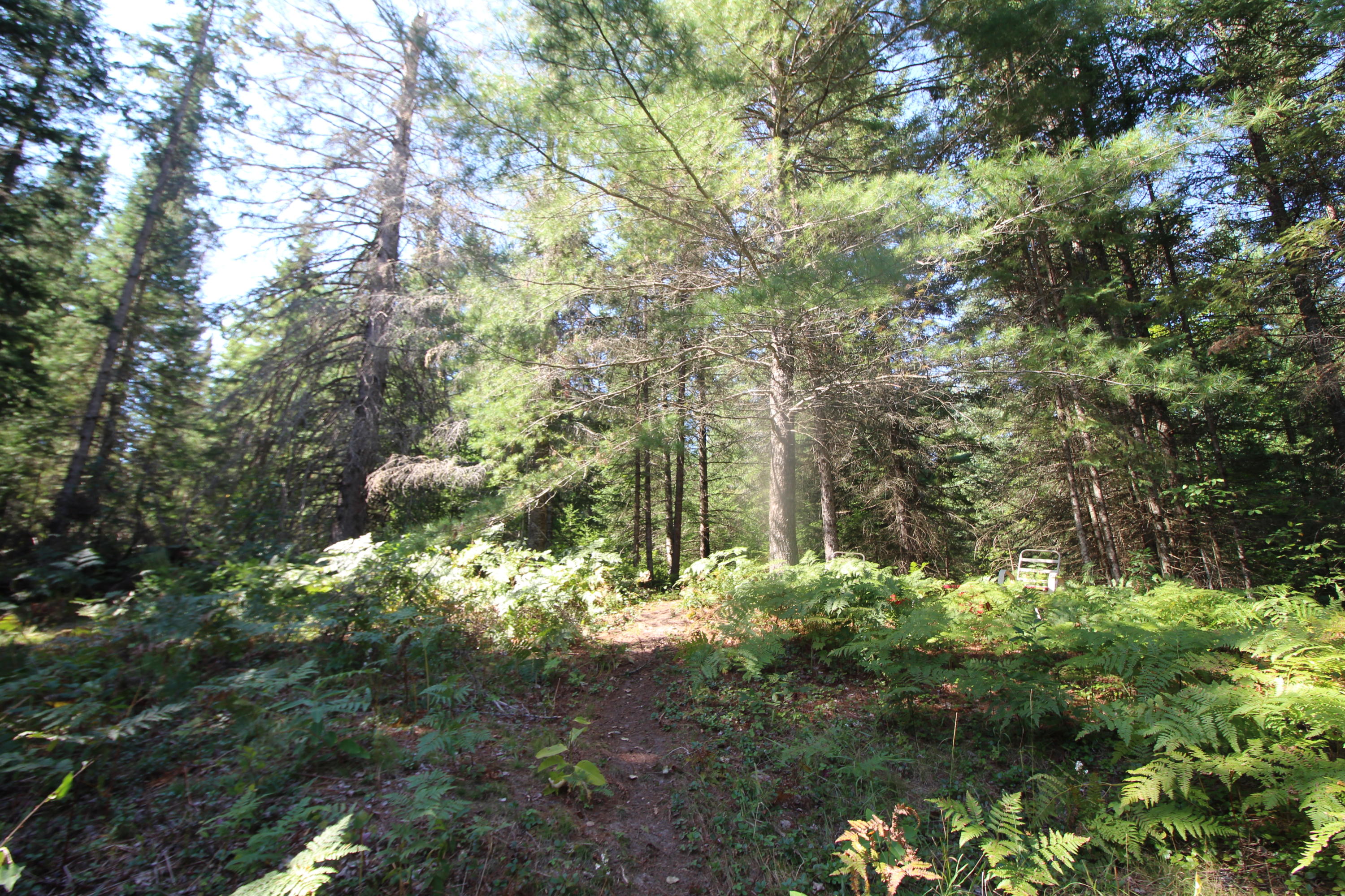 15411 Riverside Trail Wolverine, MI 49799 - Photo 19 of 26 Gallery Image 19