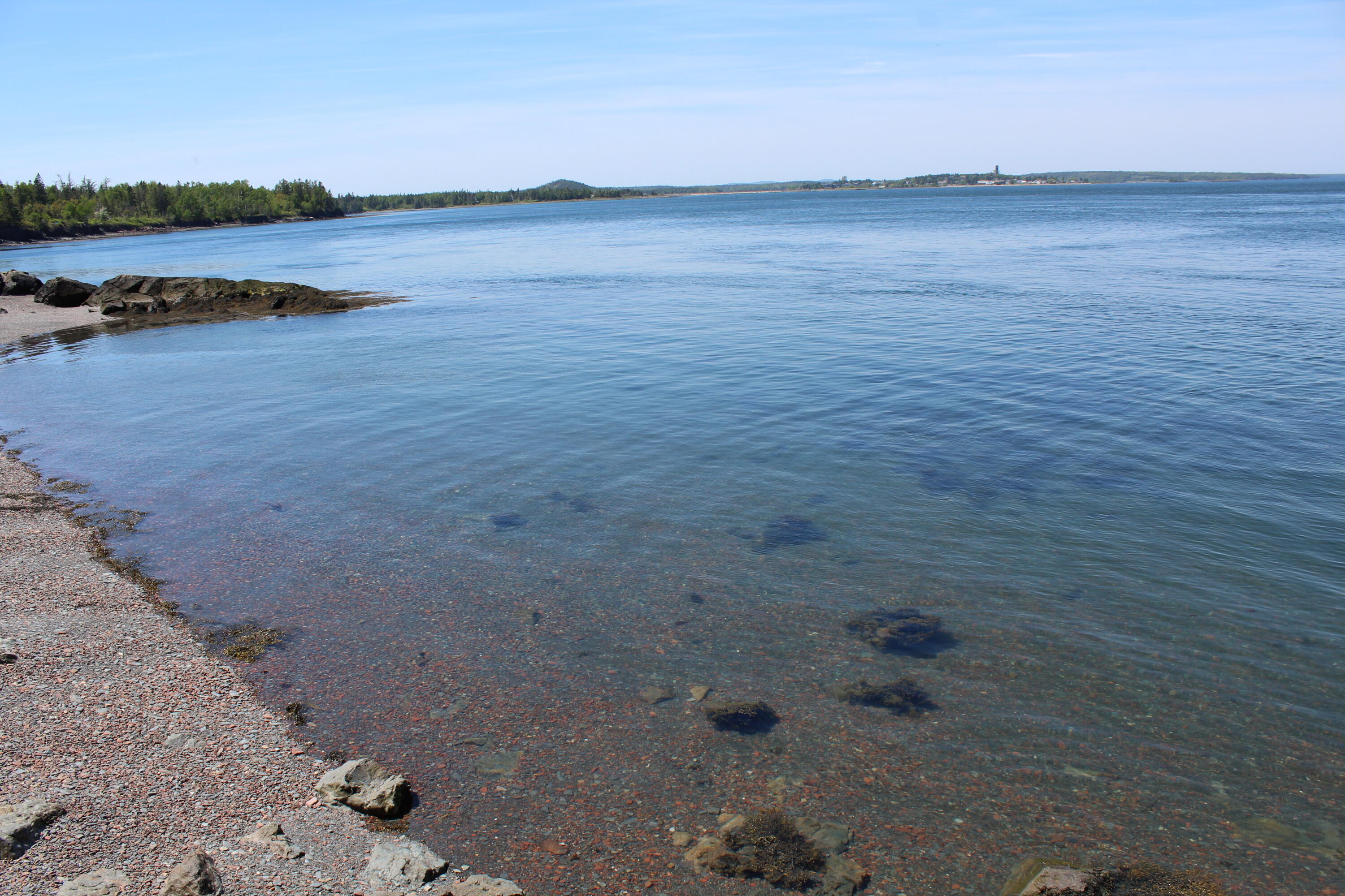 45 Kendall Head Road Eastport, ME 04631 - Photo 80 of 117 IMG_7054