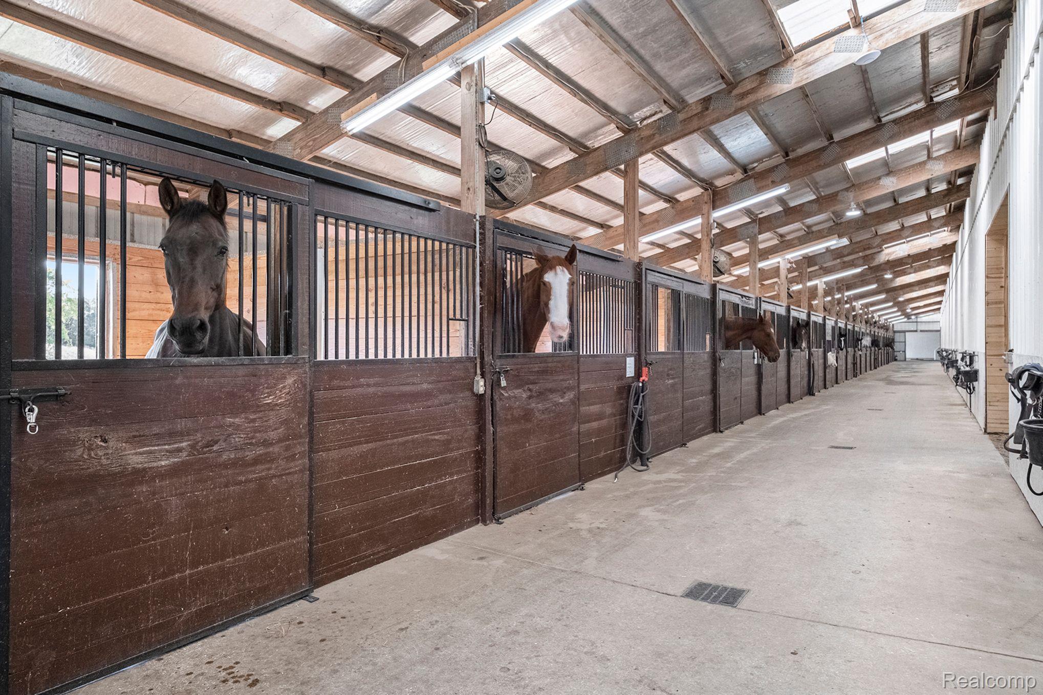 2208 East Dryden Road Metamora, MI 48455 - Photo 63 of 98 South Aisle with 18 matted 10x10 stalls, 5 doubles