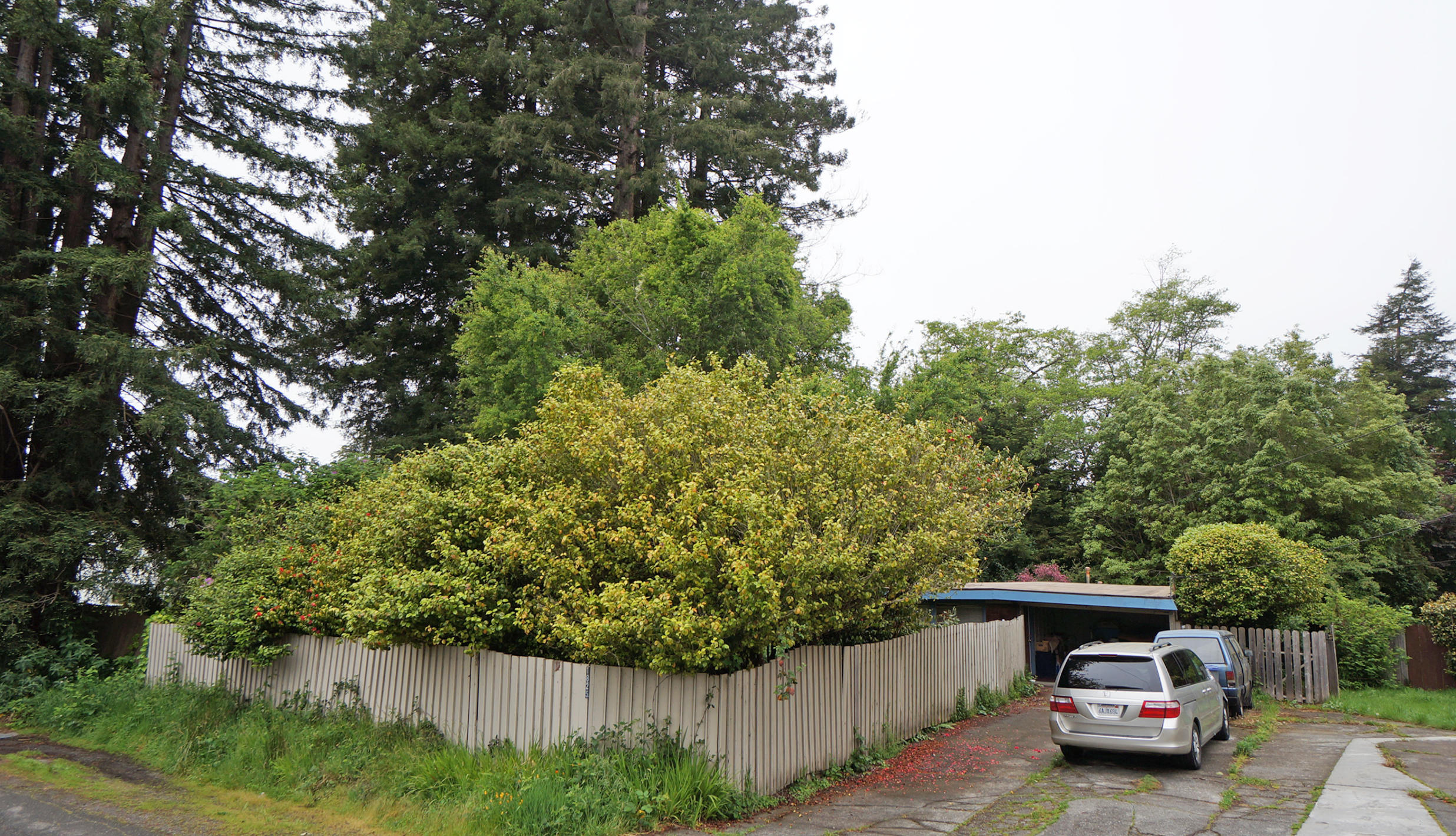 1825 Golf Course Road Arcata, CA 95524 - Photo 1 of 11 Front Exterior