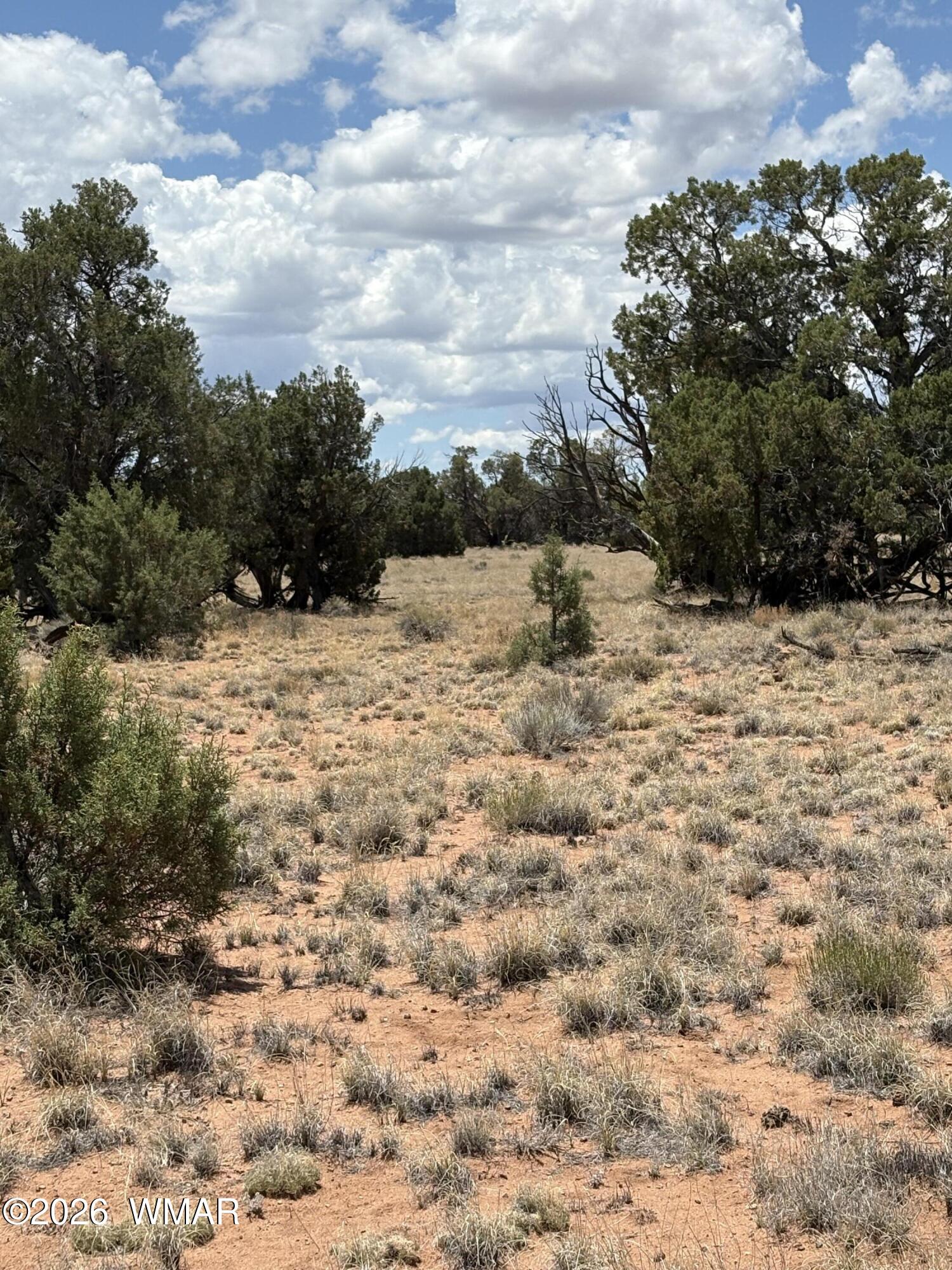 22 County Road Concho, AZ 85924 - Photo 3 of 7