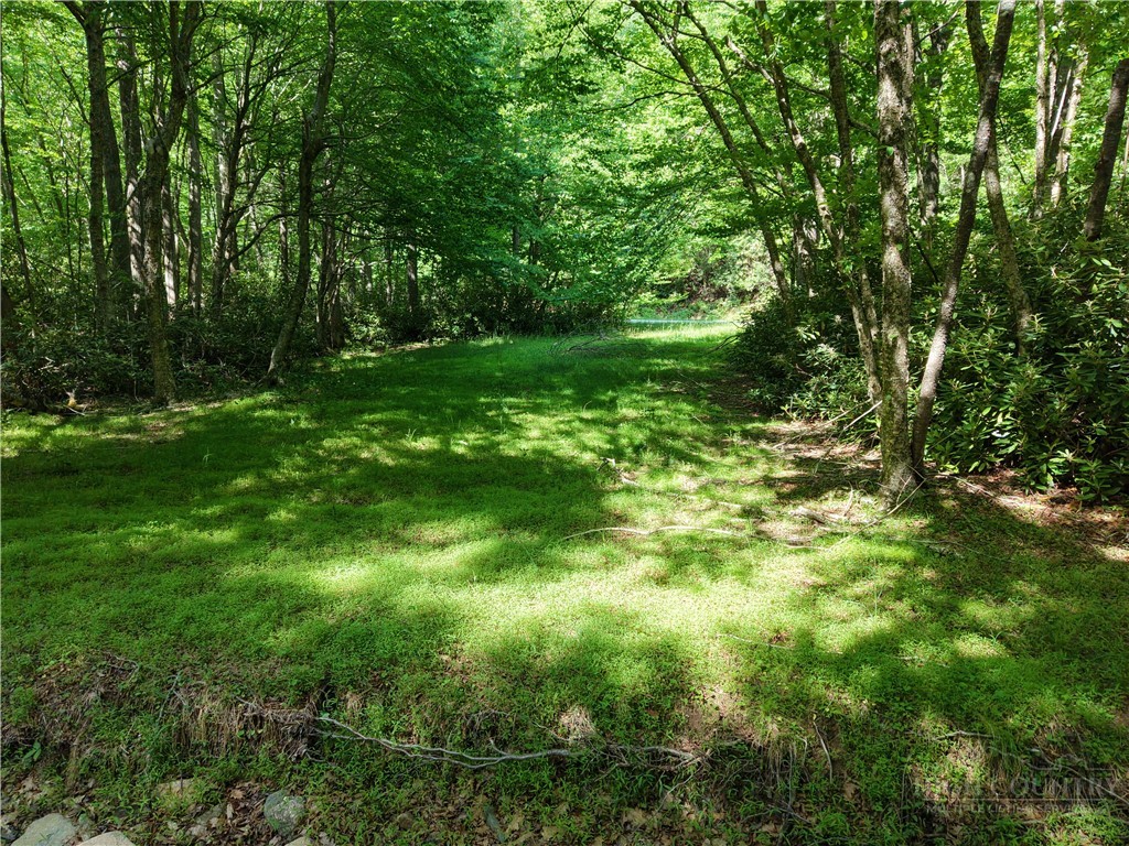 Cedar Lane Boone, NC 28607 - Photo 3 of 12