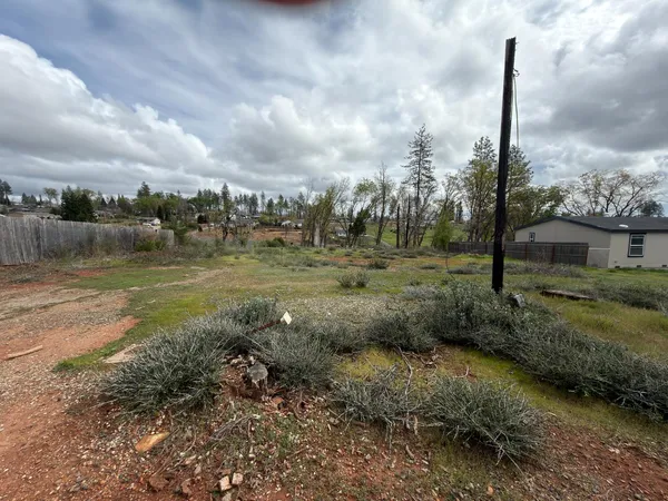 a view of a garden with large tree