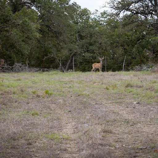 474 Inspiration Loop Comfort, TX 78013 - Photo 1 of 1 Gallery Image 1