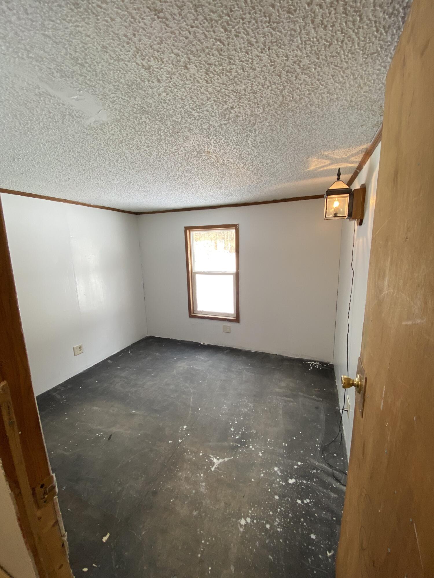 112 Johnson Road Gowen, MI 49326 - Photo 8 of 16 IMG_7968
