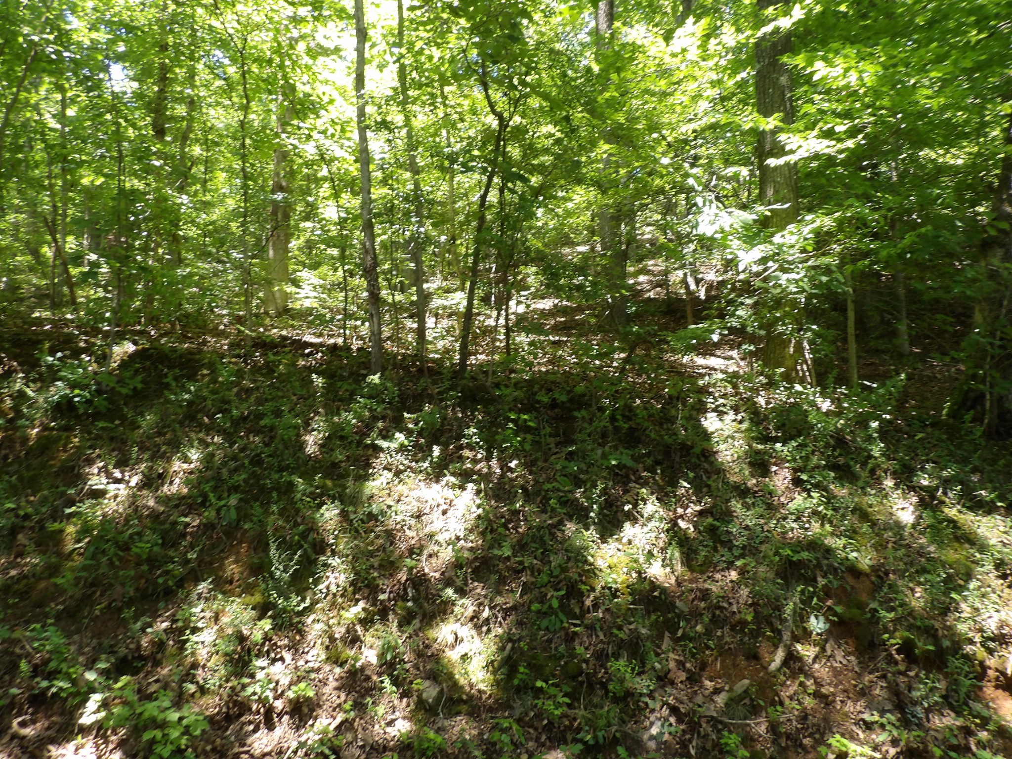 587 West Little Richland Road Waverly, TN 37185 - Photo 11 of 26