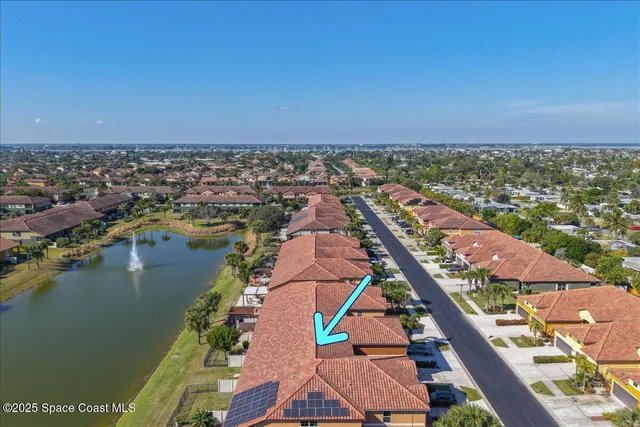 a view of a tree with yard in front of it