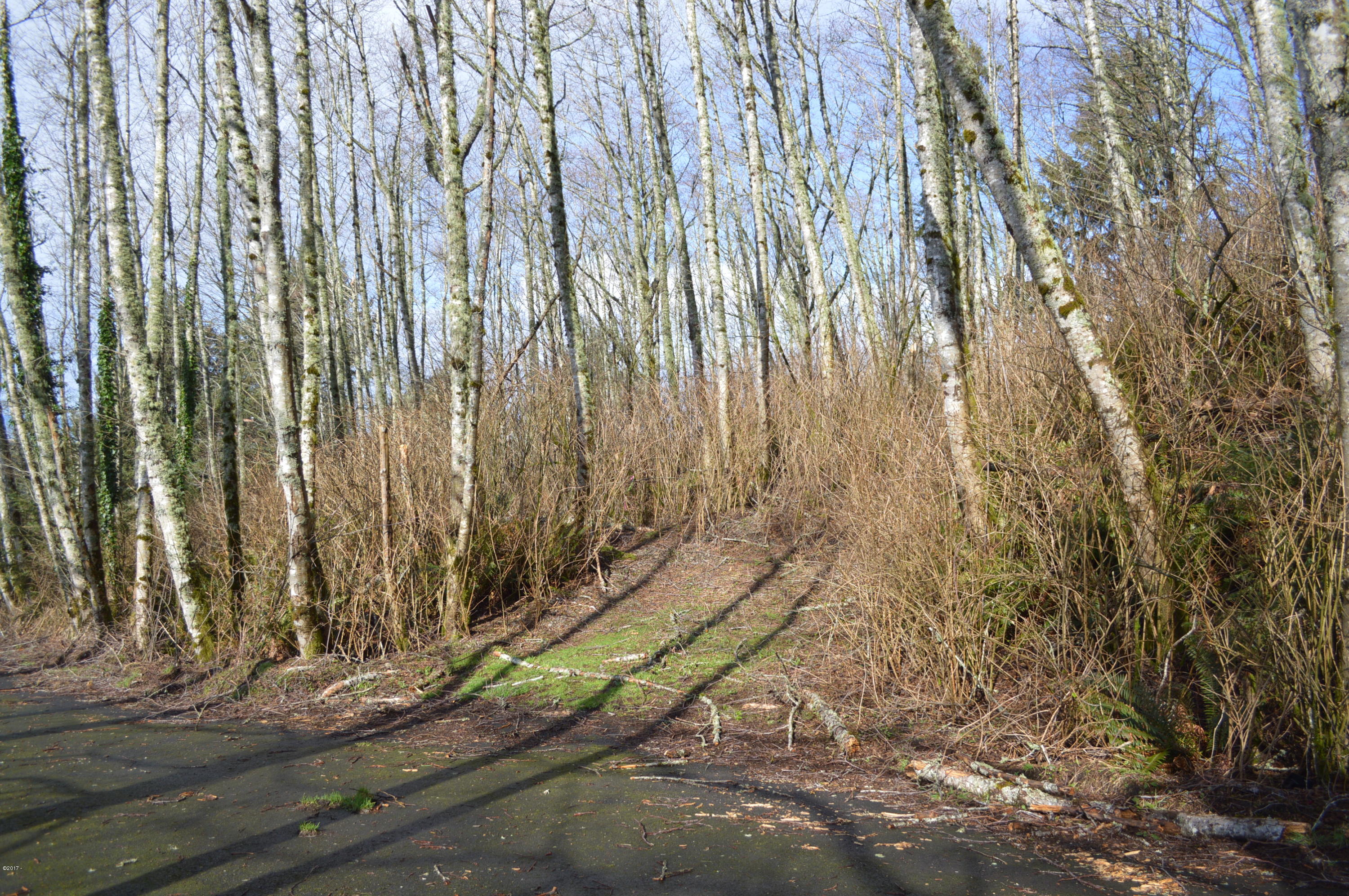 307 Brooten Hill Road Pacific City, OR 97135 - Photo 1 of 2 Lot from Street