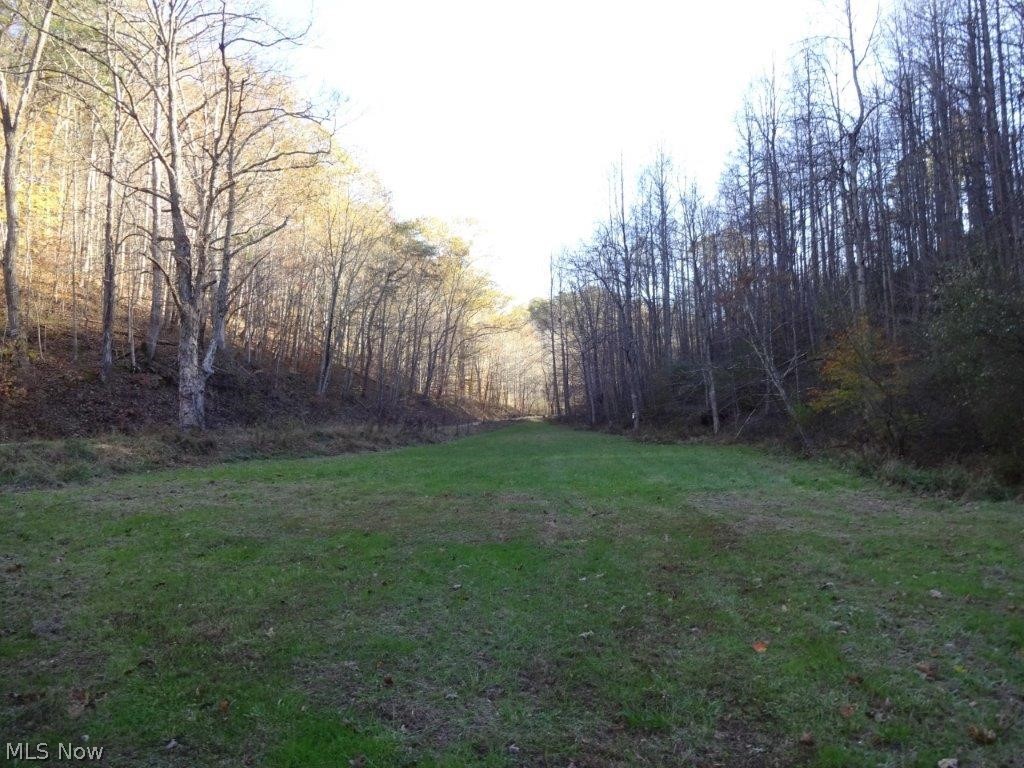 2518 Peniel Road Gay, WV 25244 - Photo 2 of 20