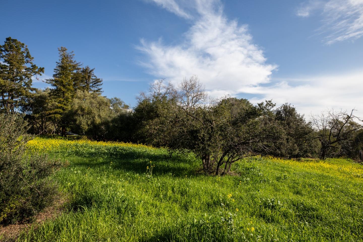 4127 Old Adobe Road Palo Alto, CA 94306 - Photo 14 of 49