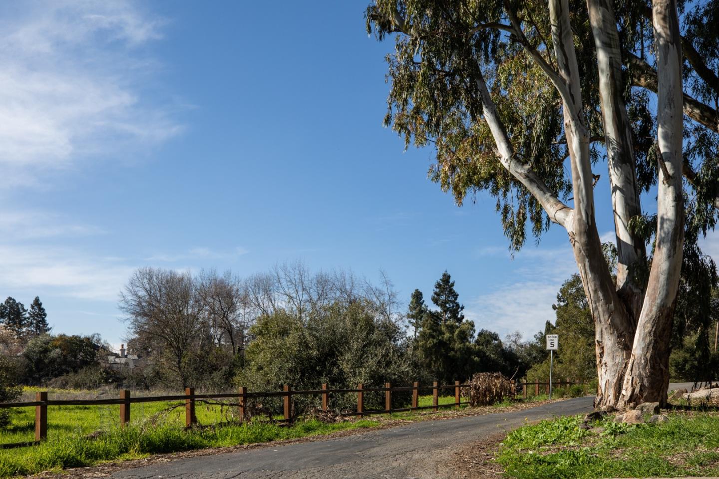 4127 Old Adobe Road Palo Alto, CA 94306 - Photo 34 of 49