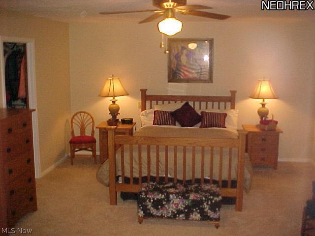42157 Whitney Road Lagrange, OH 44050 - Photo 13 of 24 Master bedroom.