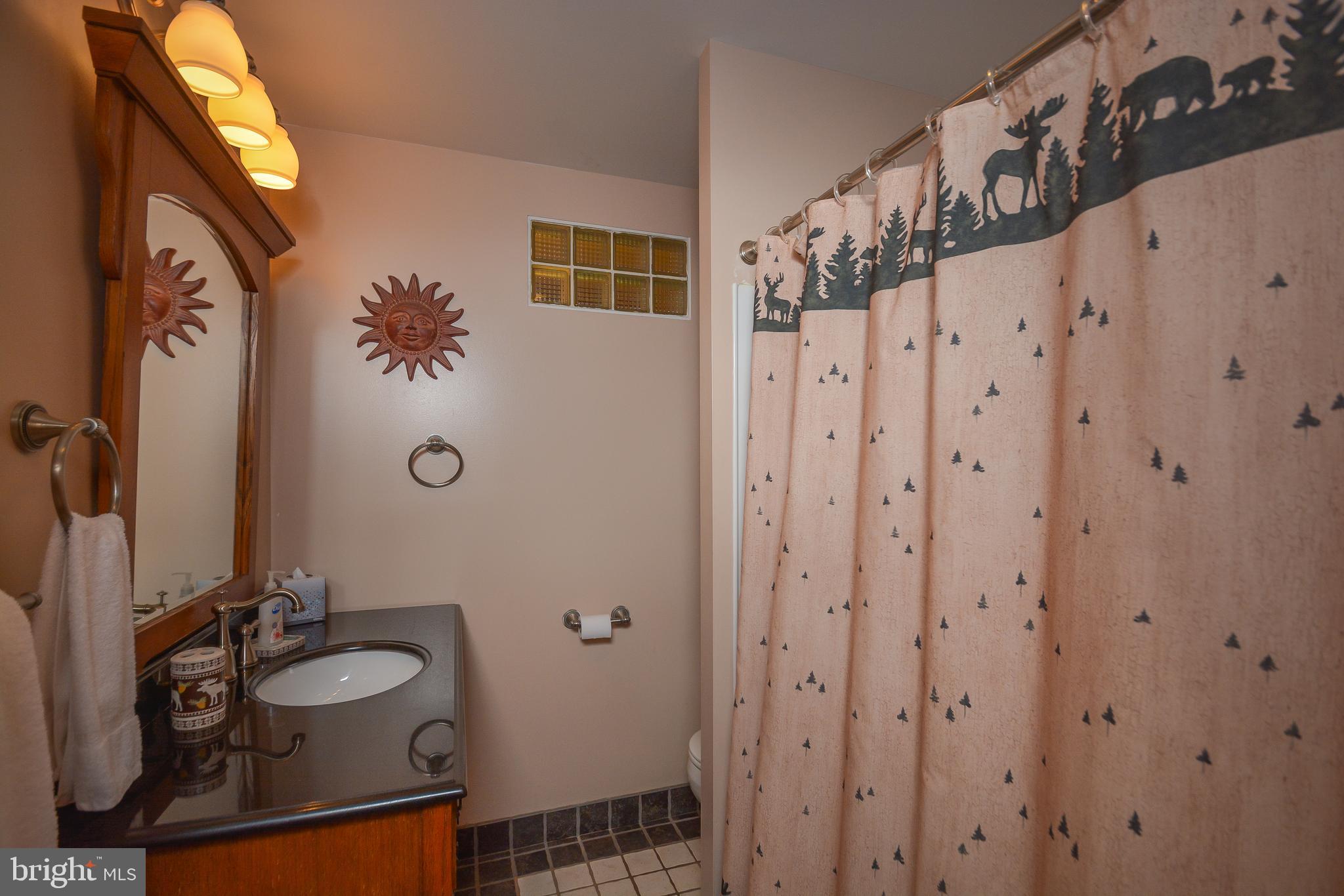 1417 Marsh Hill Road McHenry, MD 21541 - Photo 15 of 34 a bathroom with a sink and mirror with toilet