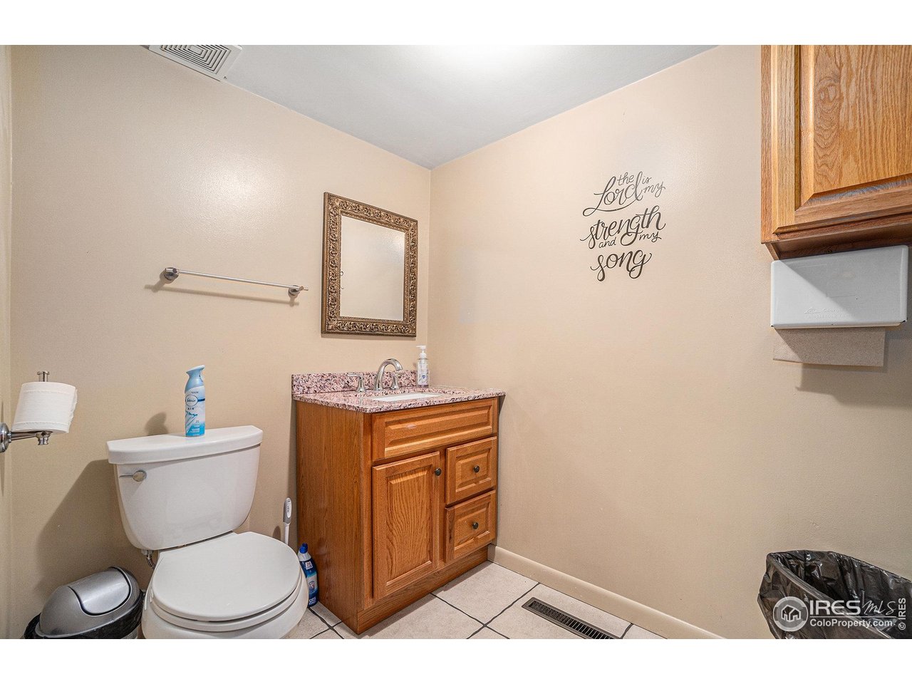 601 South Whitcomb Street Fort Collins, CO 80521 - Photo 19 of 34 a bathroom with a toilet a sink and a mirror