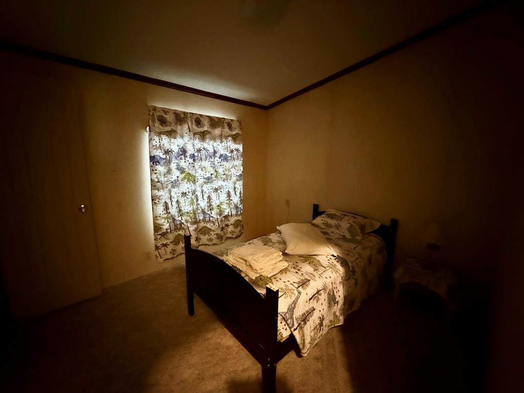 3231 County Road 46 Abbeville, AL 36310 - Photo 14 of 25