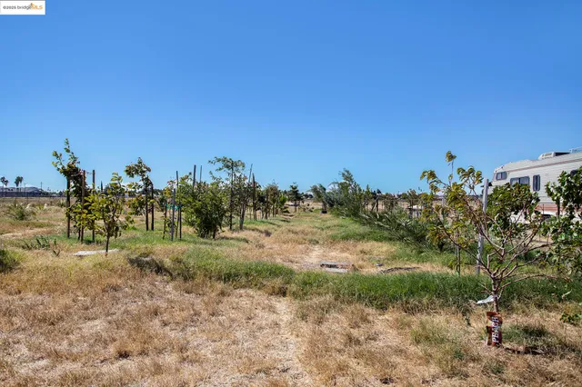 a view of a field with trees in background
