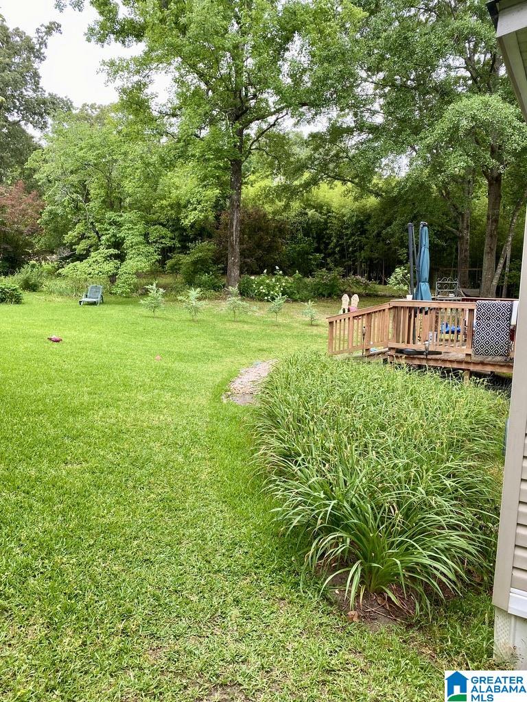 82 County Road 853 Montevallo, AL 35115 - Photo 9 of 34