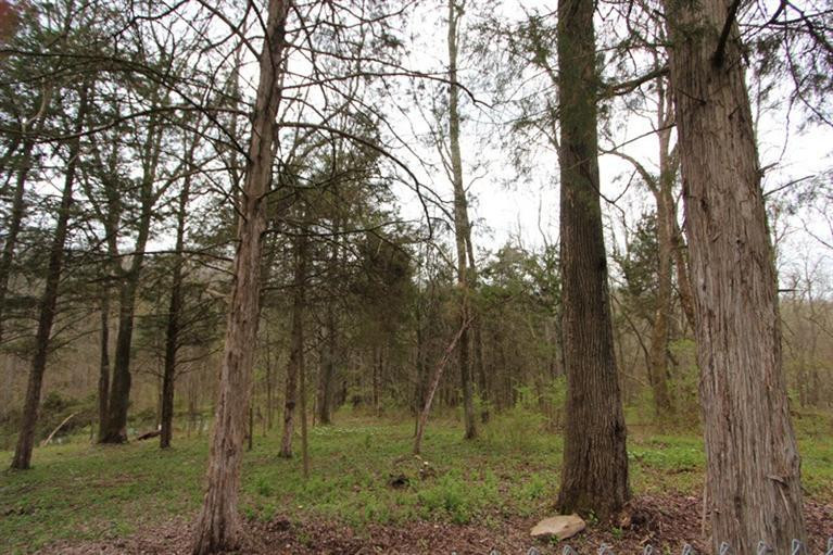 737 Hinton Cemetery Road Sadieville, KY 40370 - Photo 11 of 29 Photo 11