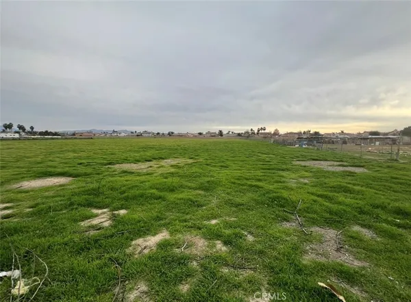 a view of a field with an ocean and trees in the background
