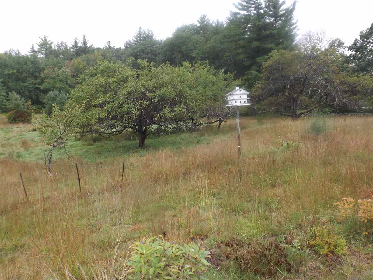 146 Bow Bog Road Bow, NH 03304 - Photo 5 of 36