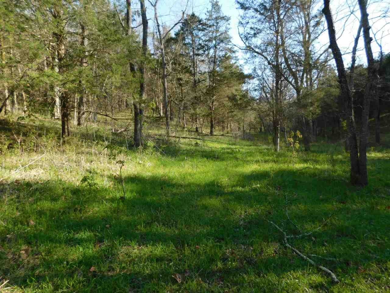 355 Doe Run Road Corinth, KY 41010 - Photo 23 of 30