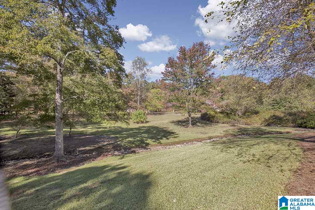 24 Timber Trail Chelsea, AL 35043 - Photo 31 of 48