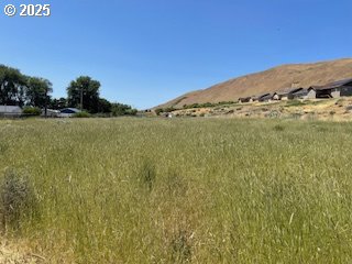 9255 Highway 14 Wishram, WA 98673 - Photo 15 of 21 a view of a field with an ocean view