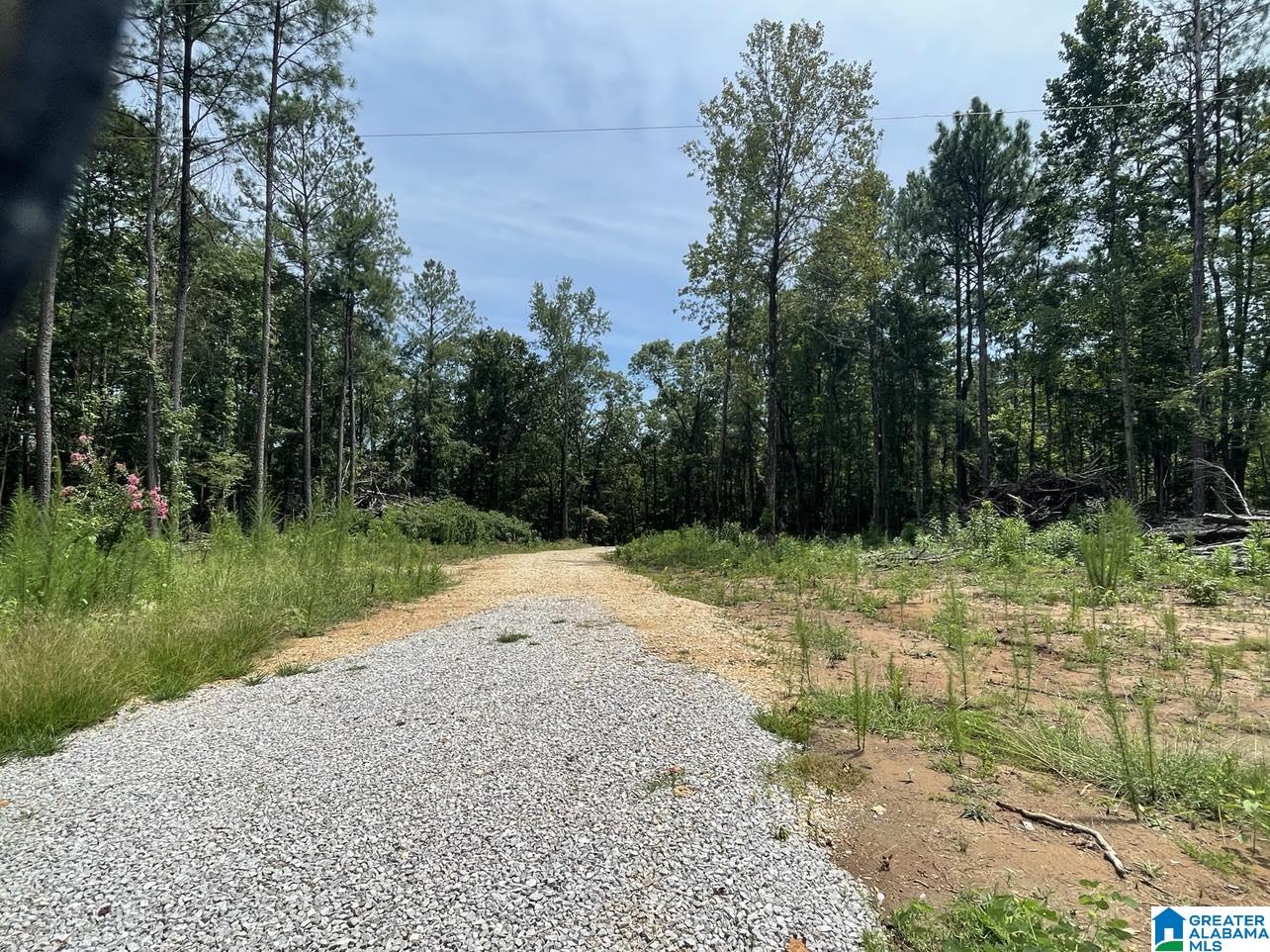 10568 Bama Rock Garden Road Vance, AL 35490 - Photo 15 of 16 Gallery Image 15