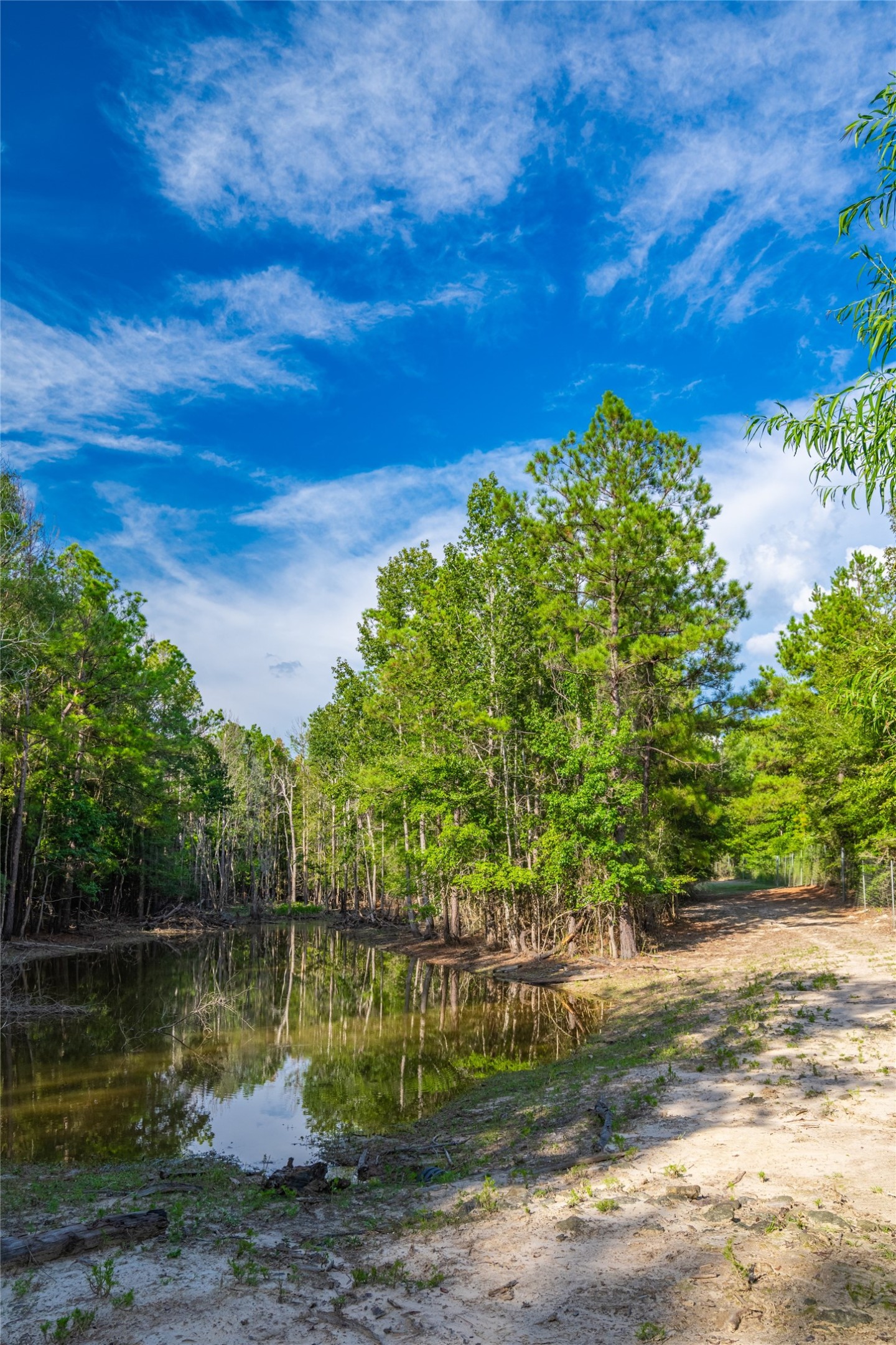0 Weaver Bend Road Huntington, TX 75949 - Photo 29 of 36 Gallery Image 29