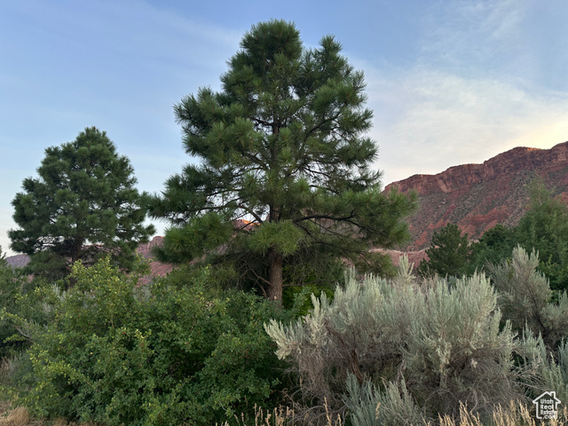 9 Chamisa Lane Moab, UT 84532 - Photo 29 of 75