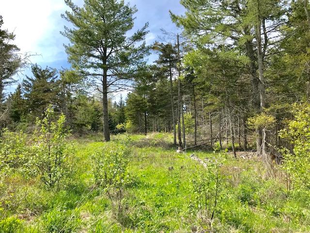 0 Johnson Point Road Penobscot, ME 04476 - Photo 1 of 13 IMG_2965