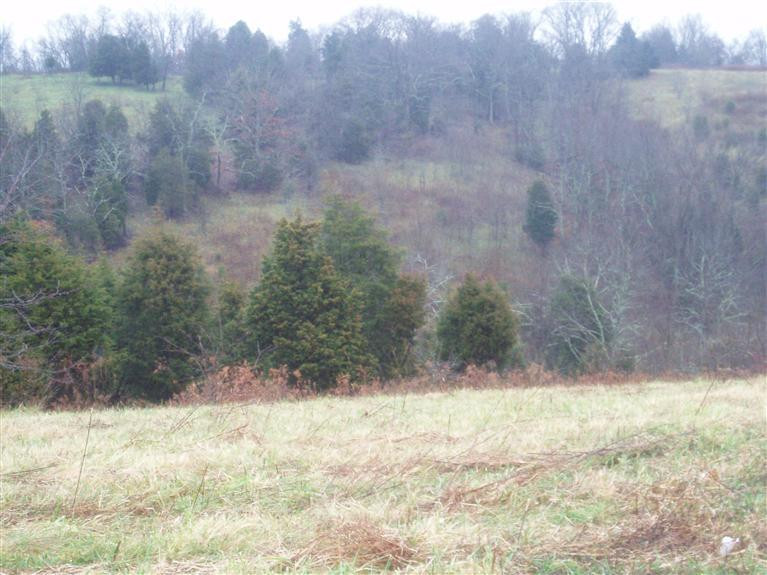 4401 Bridgeville Road Germantown, KY 41044 - Photo 3 of 4 Gallery Image 3