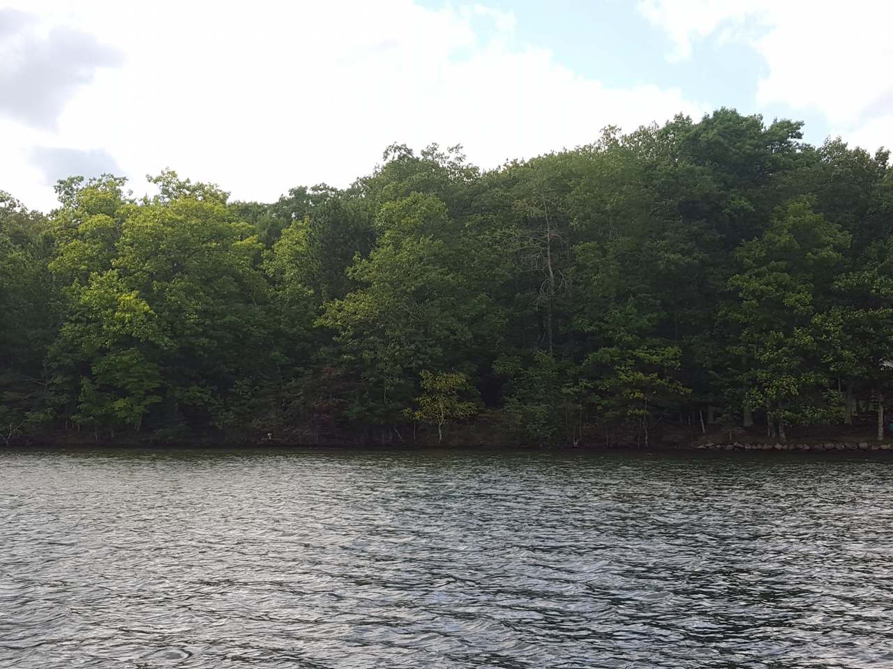 Lot 4 McPeak Road Conover, WI 54519 - Photo 4 of 7 Gallery Image 4