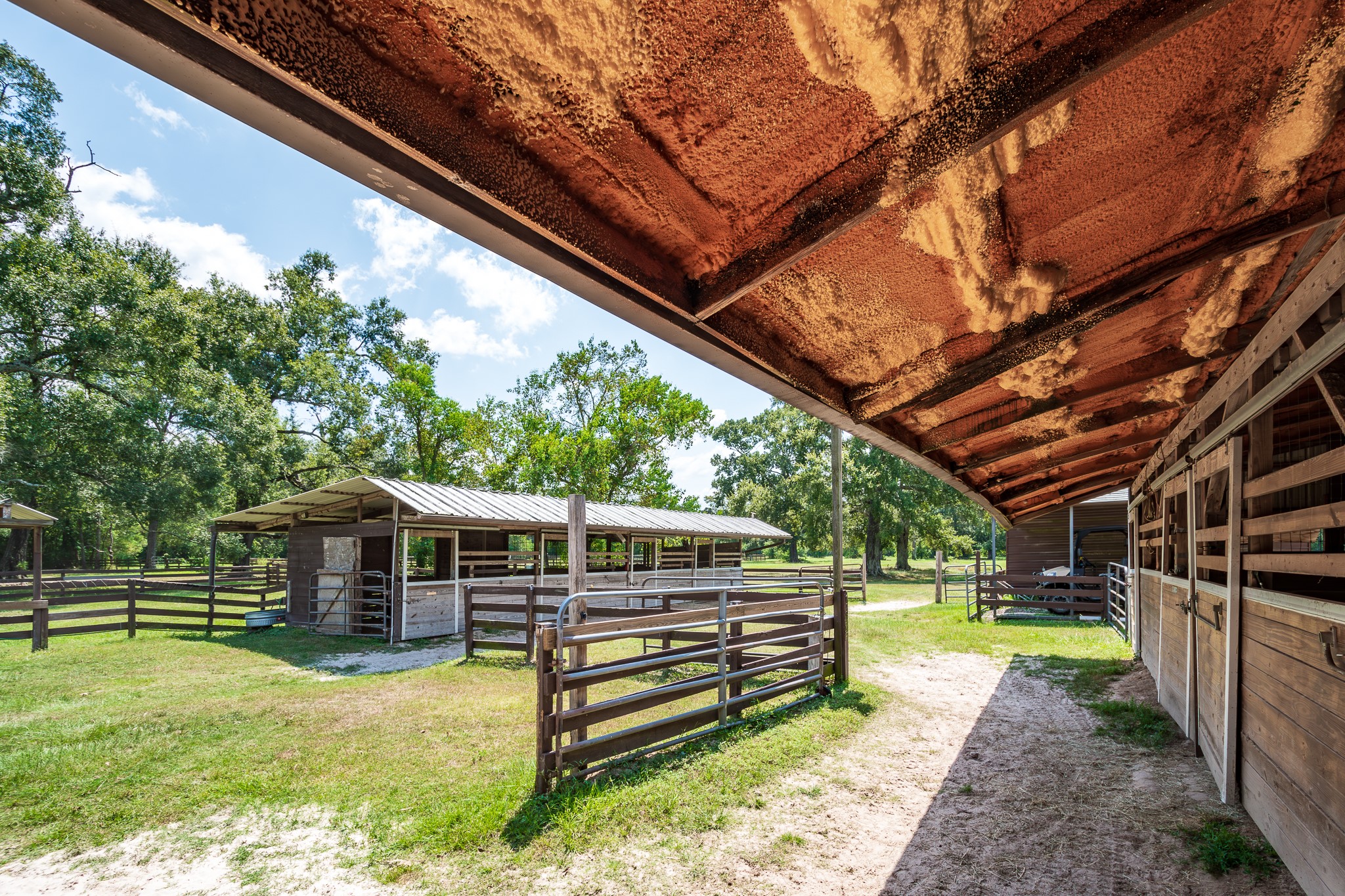 16410 Farm To Market 1485 Conroe, TX 77302 - Photo 11 of 47 a view of swimming pool with a yard