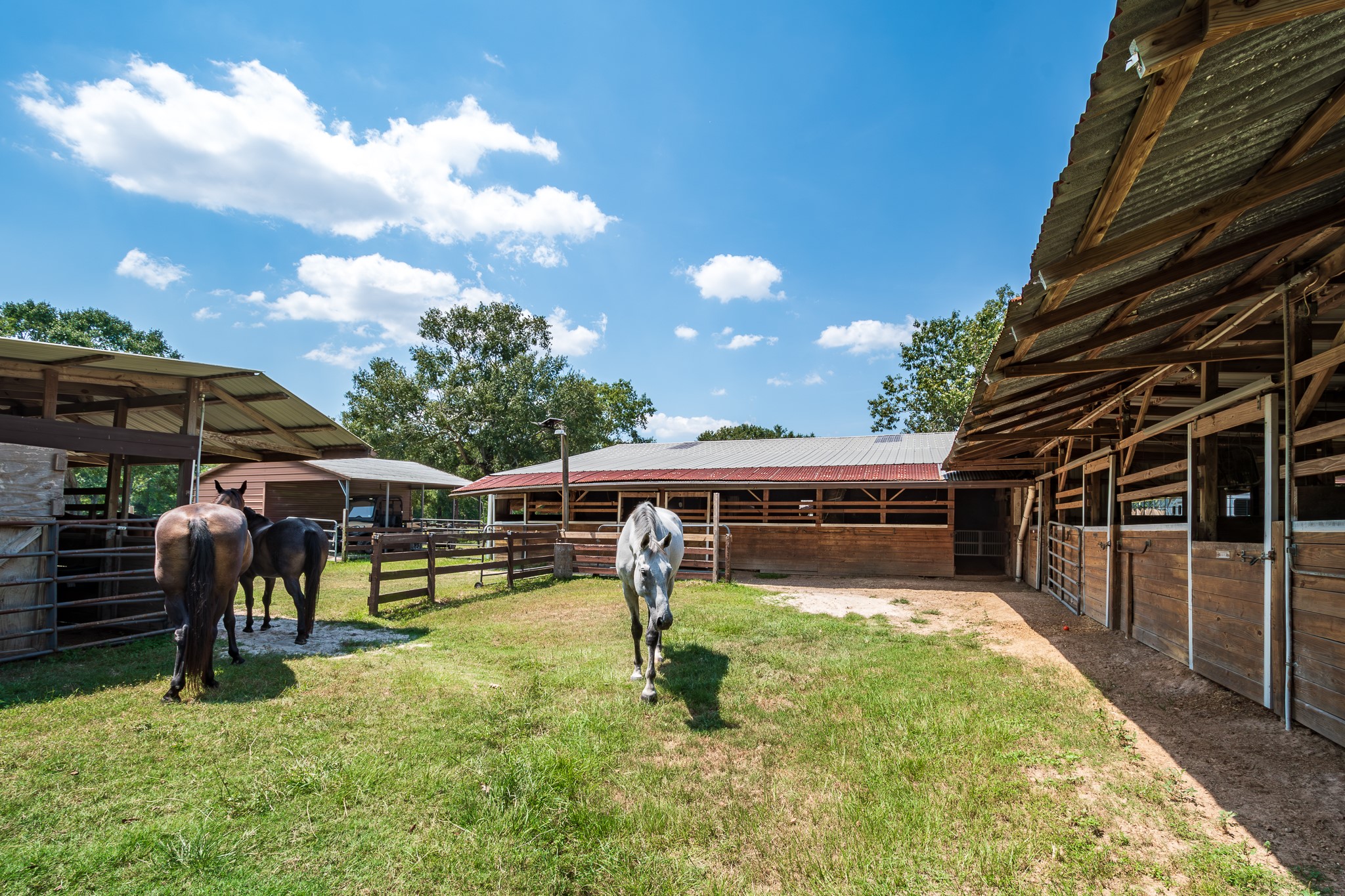 16410 Farm To Market 1485 Conroe, TX 77302 - Photo 12 of 47 a view of a swimming pool with a table and chairs