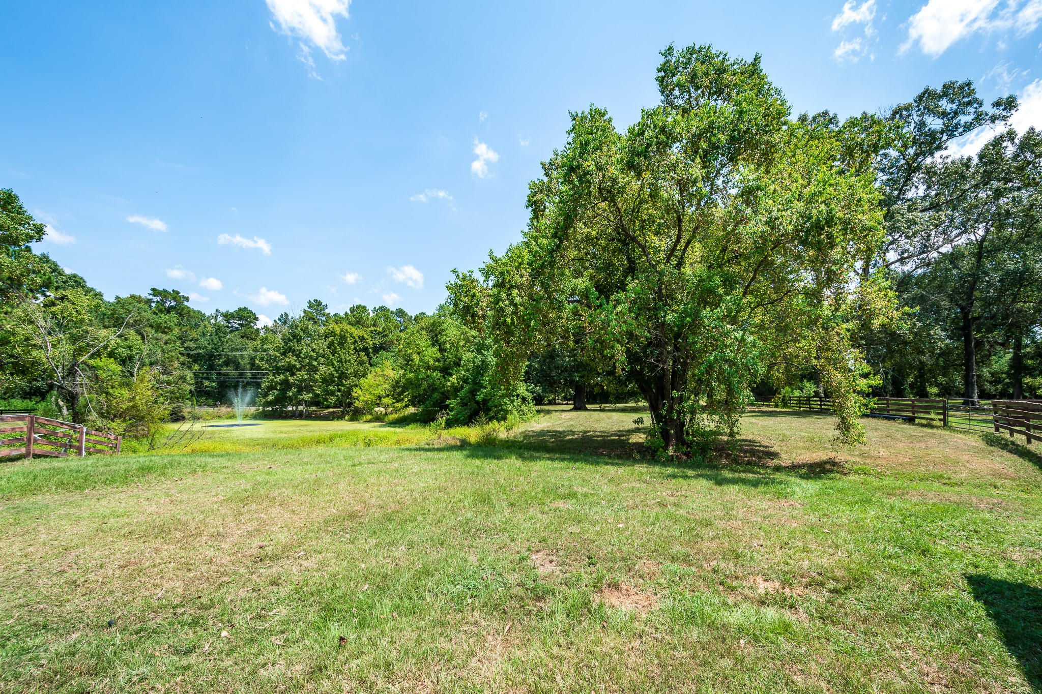 16410 Farm To Market 1485 Conroe, TX 77302 - Photo 13 of 47 a backyard of a house with a yard and outdoor seating