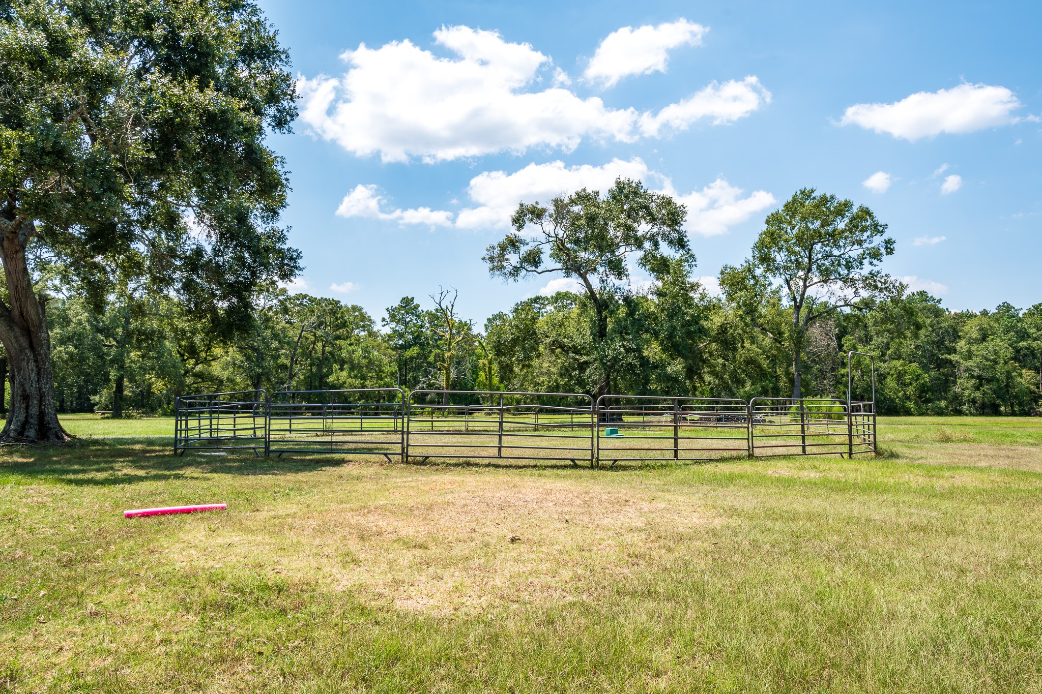 16410 Farm To Market 1485 Conroe, TX 77302 - Photo 14 of 47 a view of outdoor space with deck and trees