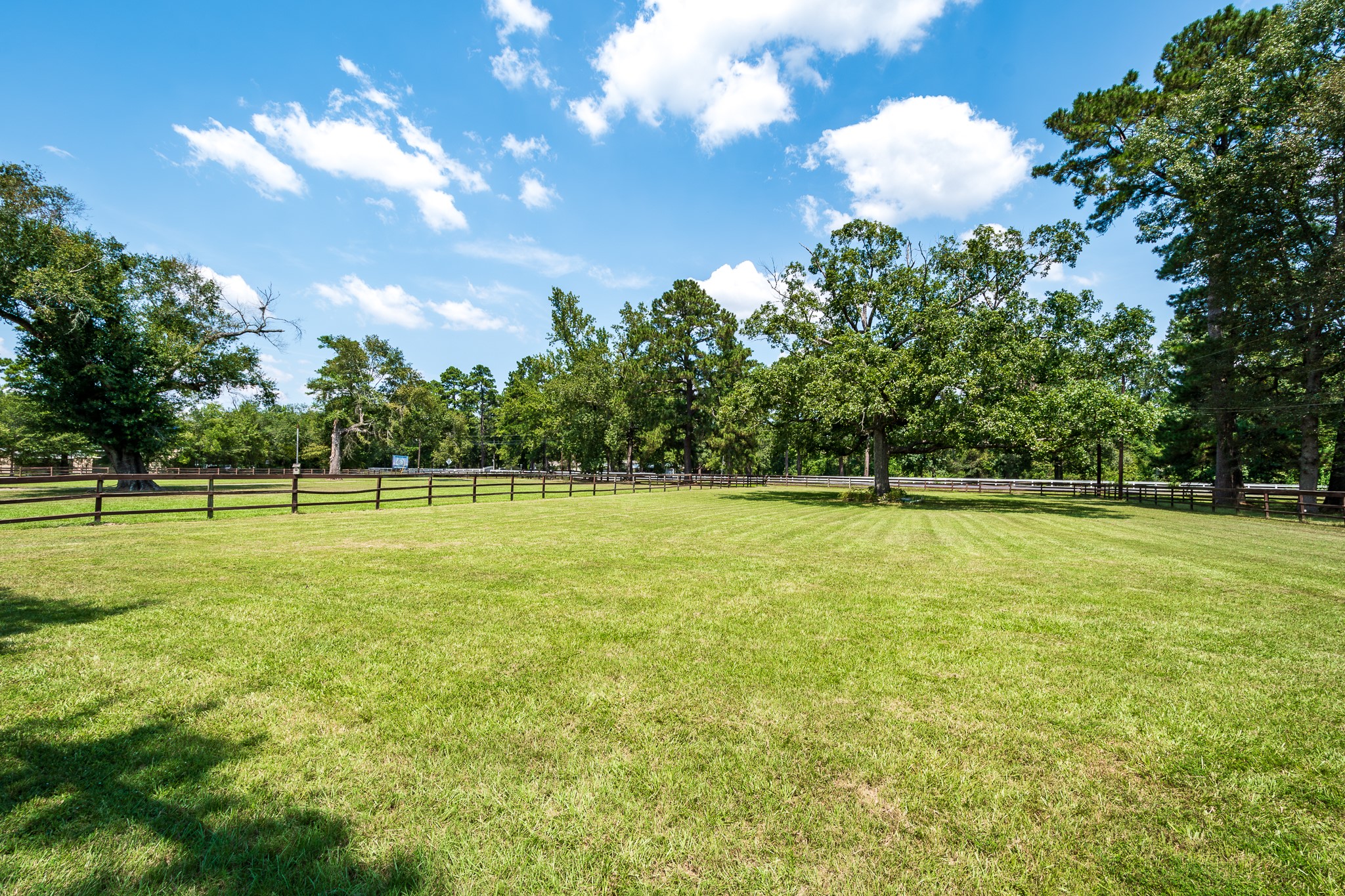 16410 Farm To Market 1485 Conroe, TX 77302 - Photo 16 of 47 a view of a green field