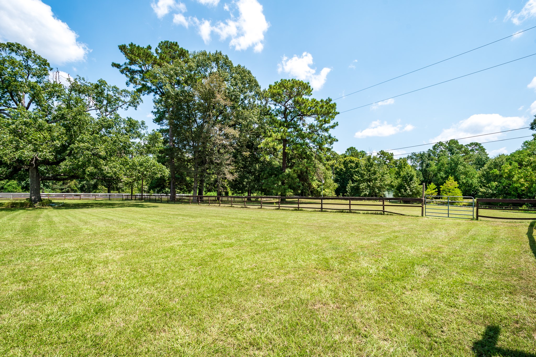 16410 Farm To Market 1485 Conroe, TX 77302 - Photo 17 of 47 a view of a swimming pool