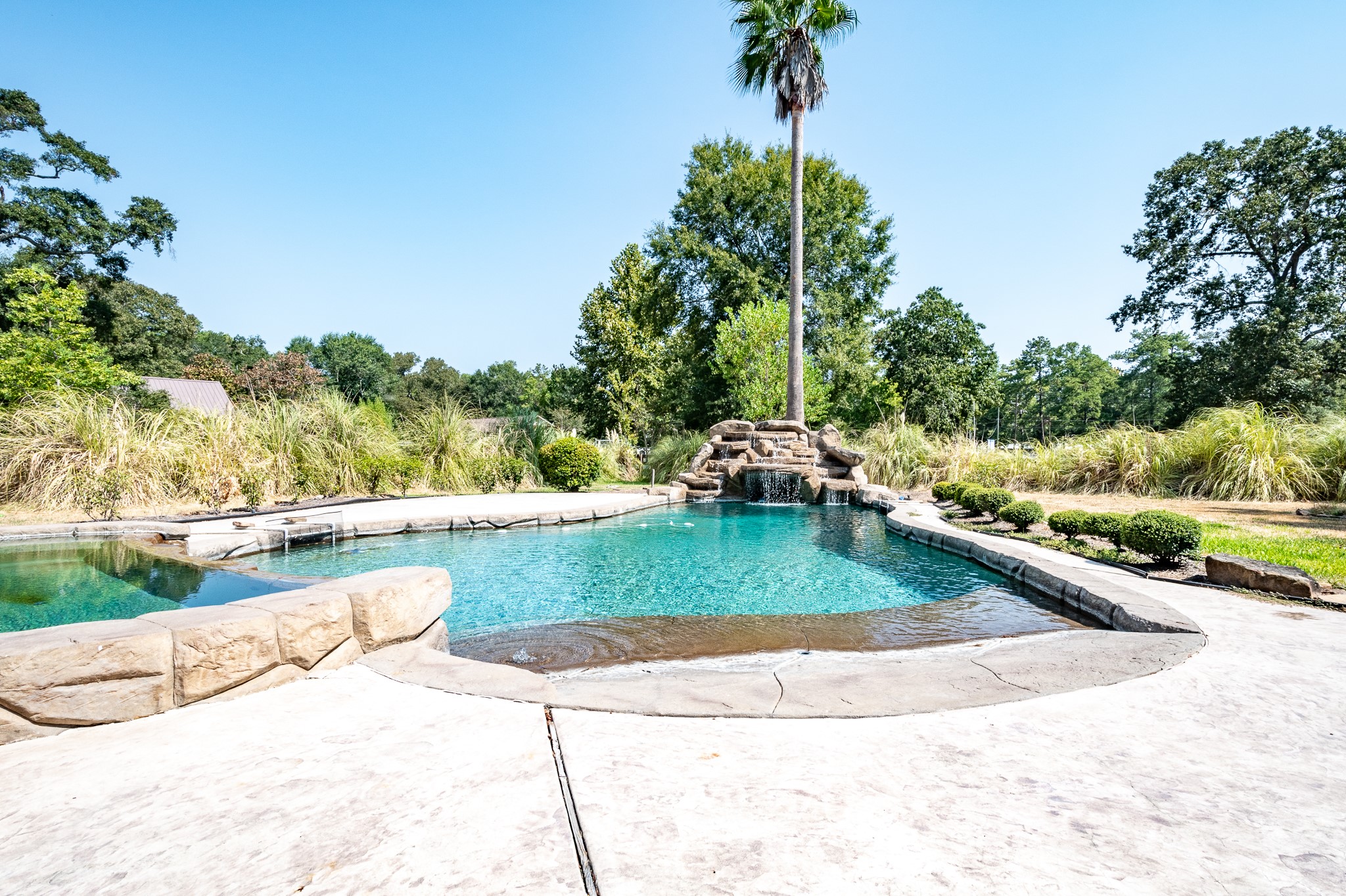 16410 Farm To Market 1485 Conroe, TX 77302 - Photo 19 of 47 a view of a swimming pool with a yard and plants
