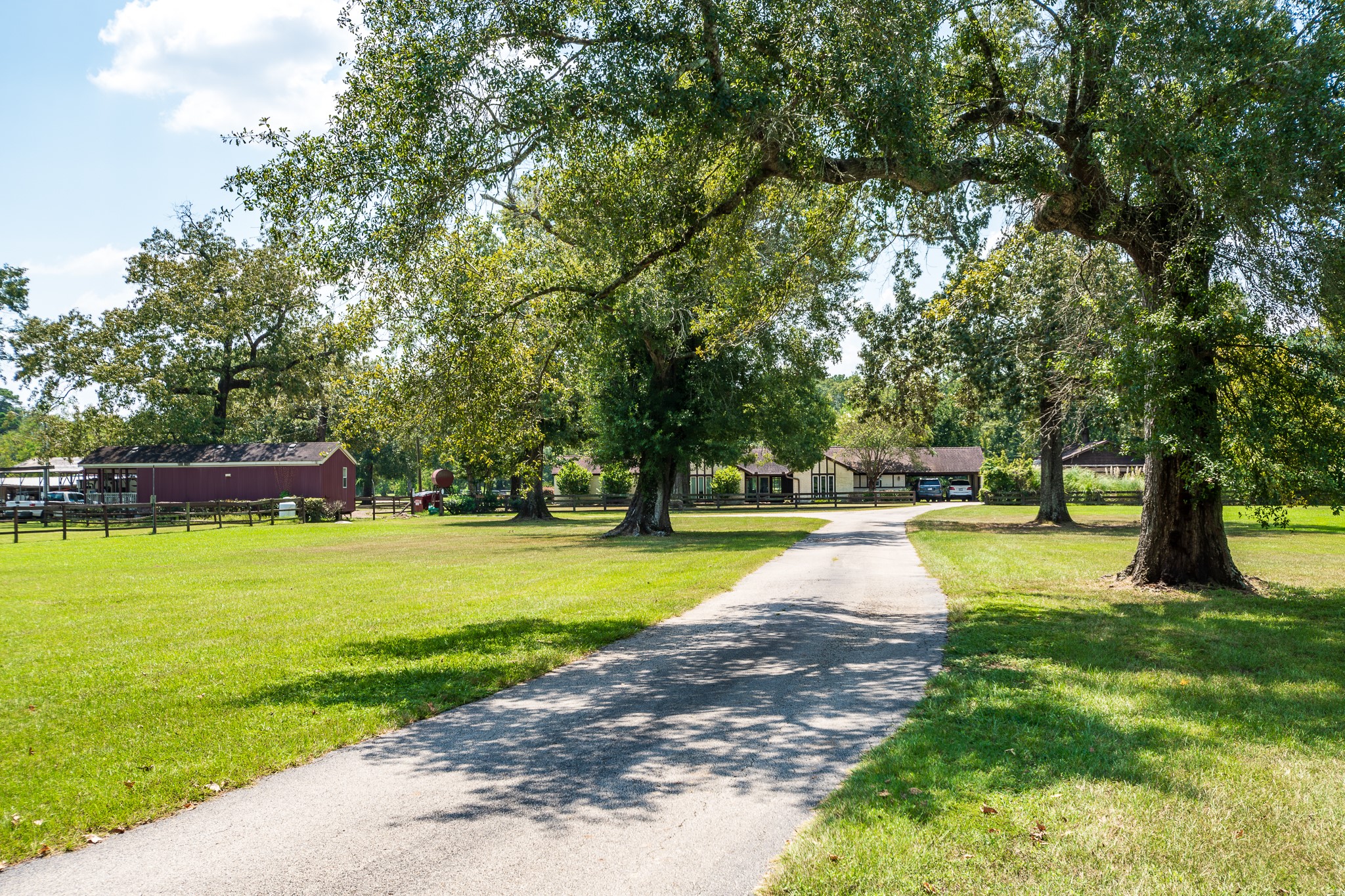 16410 Farm To Market 1485 Conroe, TX 77302 - Photo 3 of 47 a view of swimming pool with a big yard and large trees