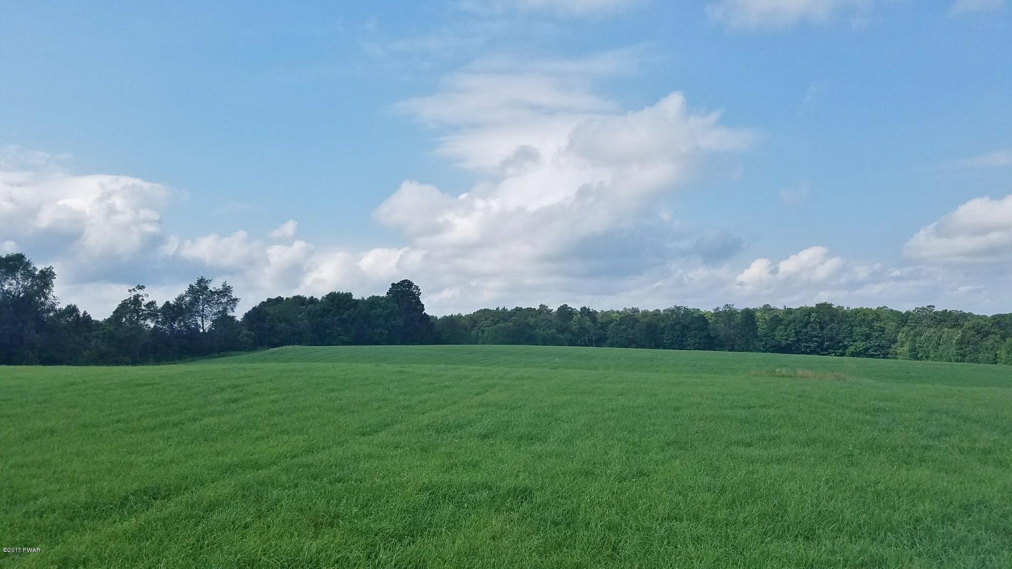 2911 Wrighter Lake Road Thompson, PA 18465 - Photo 7 of 7