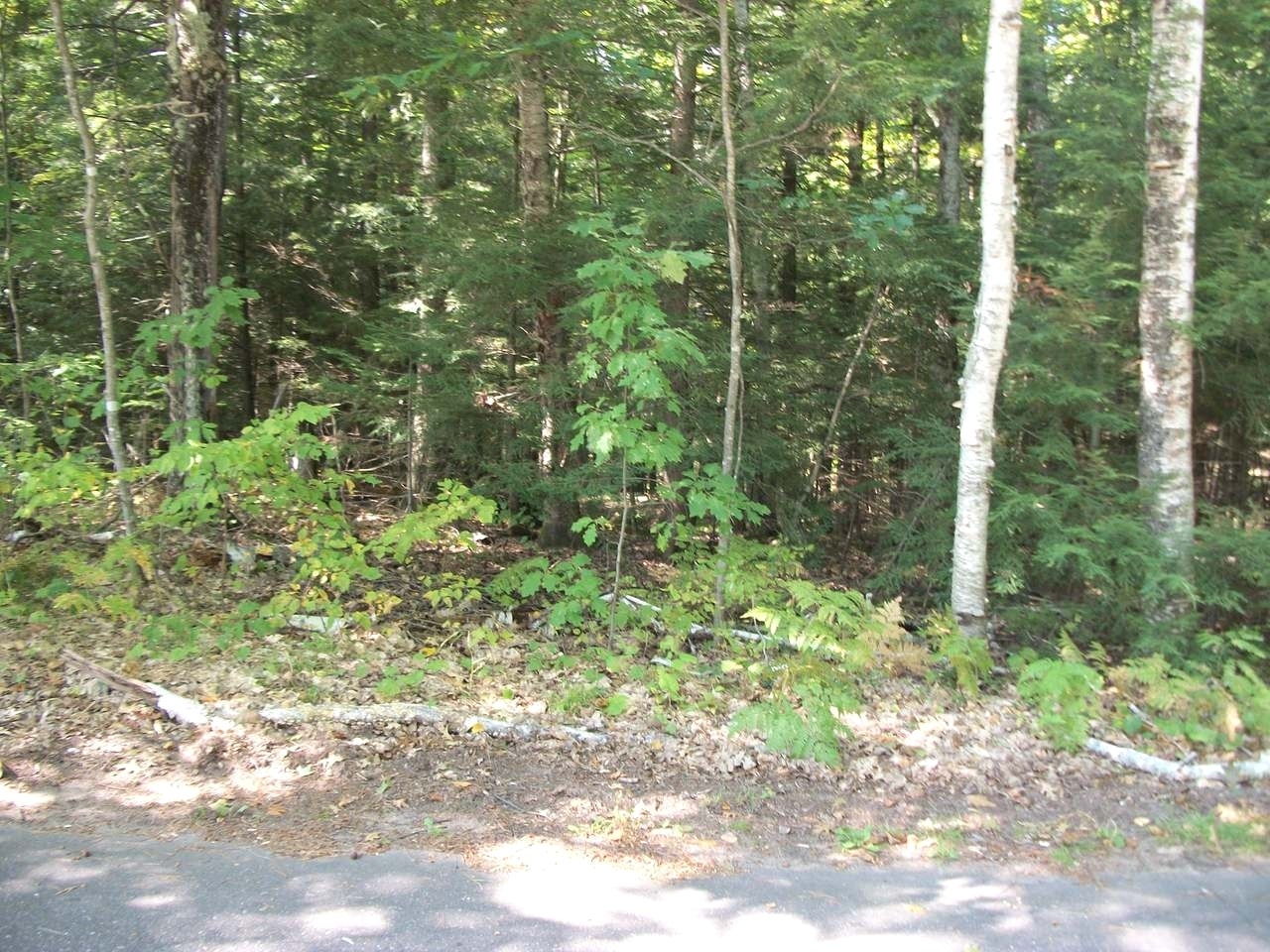 On Schroeder Road Minocqua, WI 54548 - Photo 13 of 13 Gallery Image 13