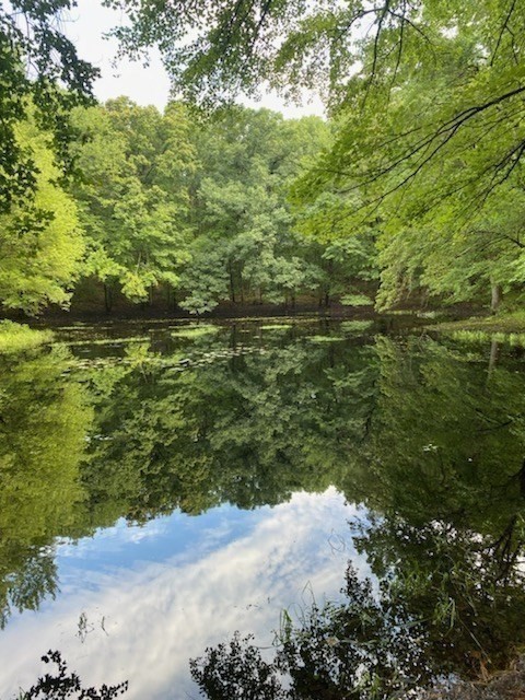 723 Ryan Road Northampton, MA 01062 - Photo 2 of 10