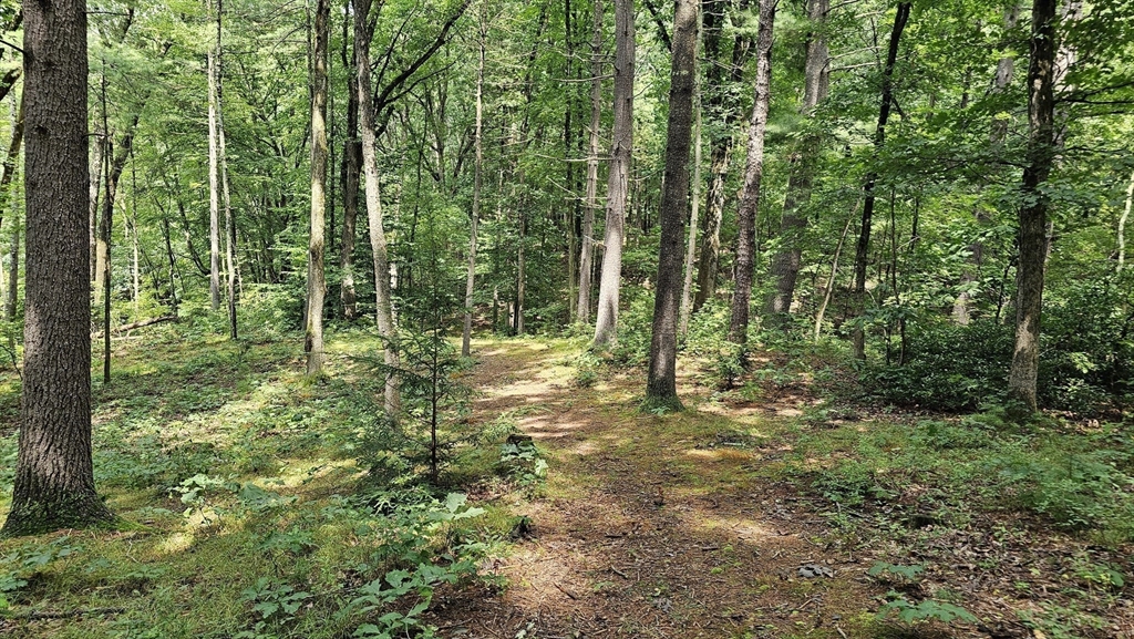 723 Ryan Road Northampton, MA 01062 - Photo 5 of 10