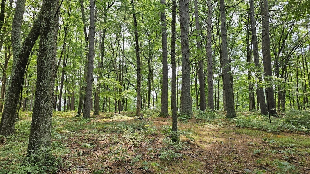 723 Ryan Road Northampton, MA 01062 - Photo 6 of 10